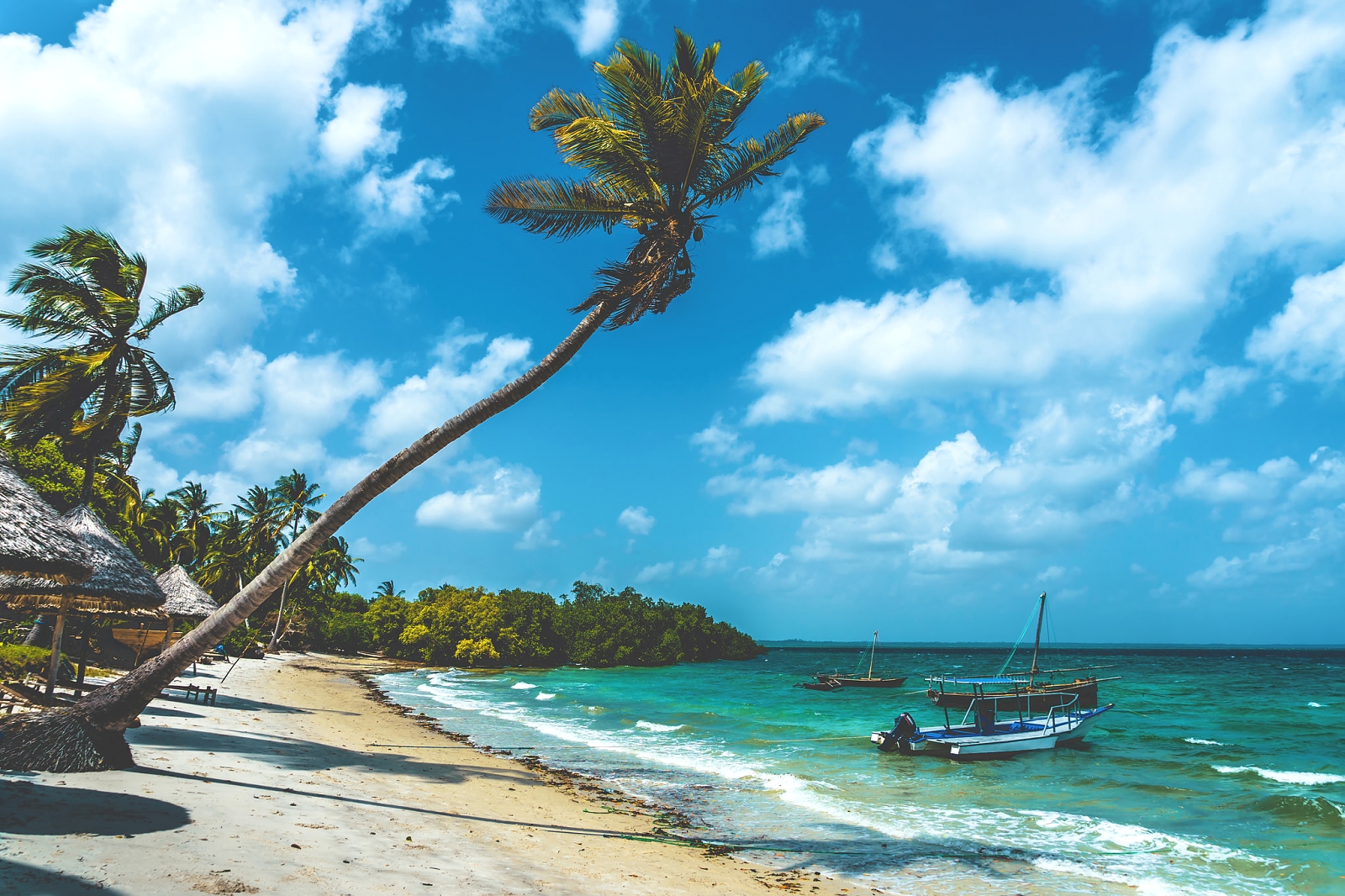 Mafia Island, Tanzania