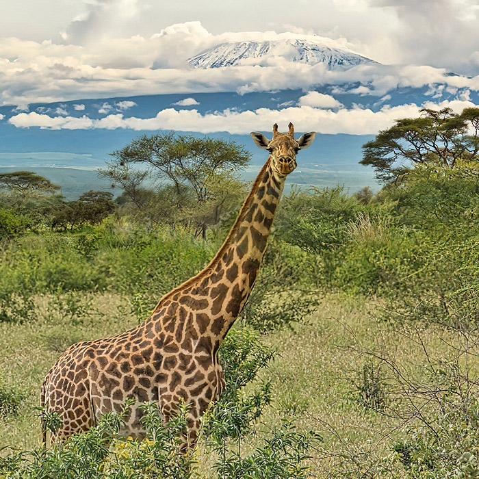 Tanzania Destination